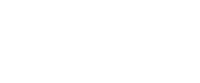 Ace Micro